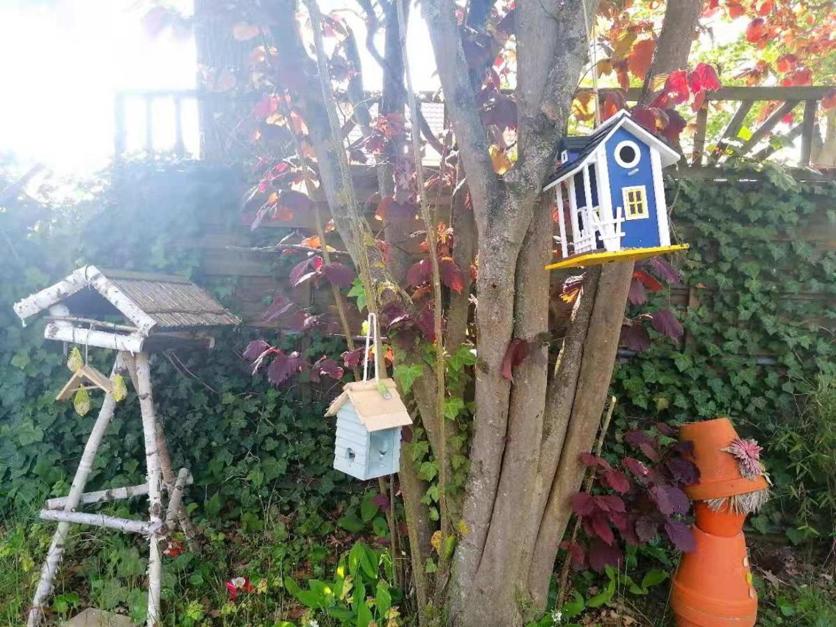 Appartment Daji 뤼네부르크 외부 사진