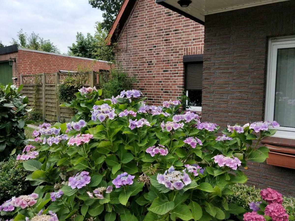Appartment Daji 뤼네부르크 외부 사진
